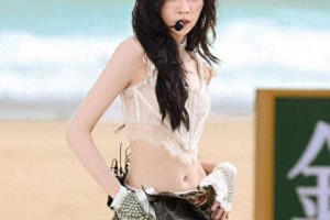 宋妍霏《浪姐6》再提自热锅事件，网友热议待客之道