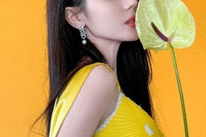 迪丽热巴黄色深V长裙穿搭惊艳全场