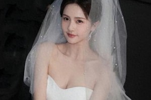 精选图片集：视觉盛宴一览