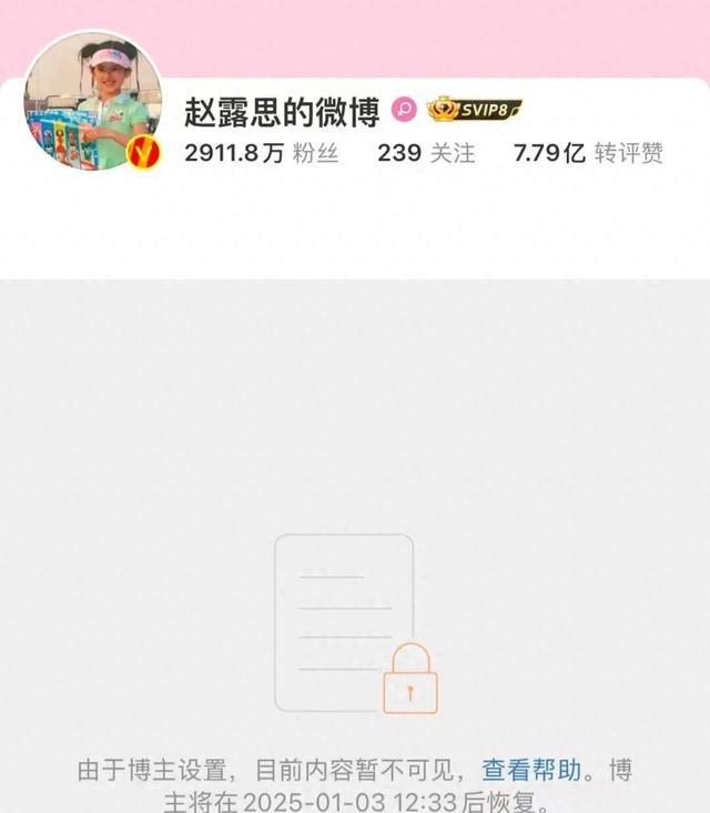 赵露思工作照
