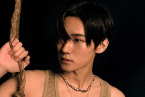 精选图片集锦：270120至270117系列